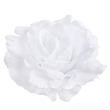 Ruža hl. rozvinutá / 1729