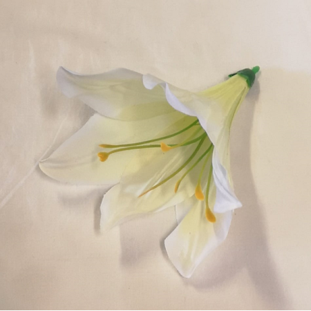 Ľalia Long hl. / 176 