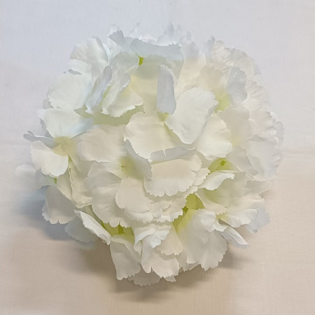 Hortenzia hl. XL / 1770