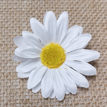 Margarétka hl. White / 187101