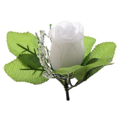 Ruža puk s listom a gypso / 1847