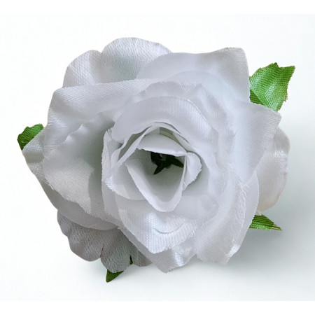 Ruža hl. Mini  / 1853