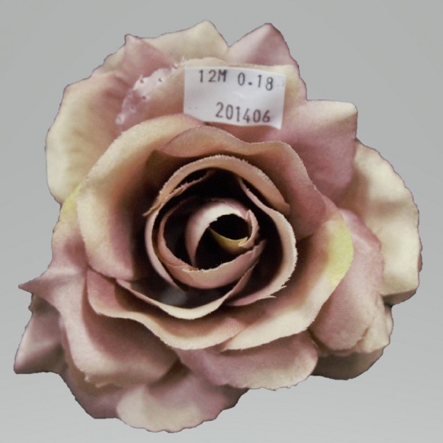 Ruža hlava Sonia / 2014