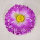 Gerbera hl. / 2023