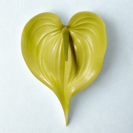  Antúria hl. penová  / 2028