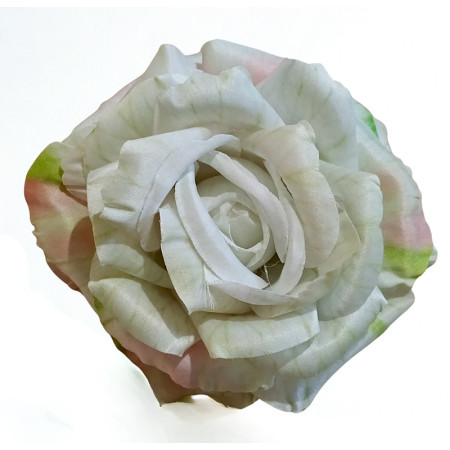 Ruža rozvinutá hl. / 2142