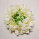 Chryzantéma hl. maxi Cream-Green / 219404