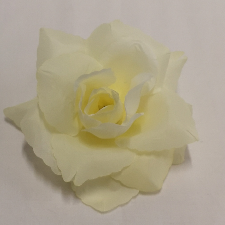 Ruža rozvinutá hl. / 25106