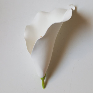 Kála hl. penová / 2611 