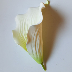 Kála hl. penová / 2621