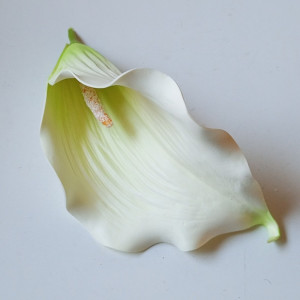 Kála hl. penová / 2621