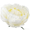 Peonia hlava 16cm/2689