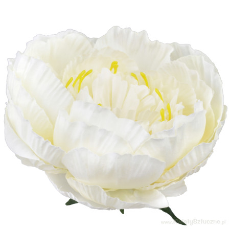 Peonia hlava 16cm/2689