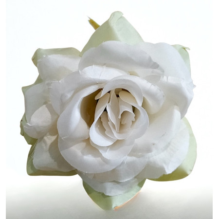 Ruža hl. rozvinutá / 300503