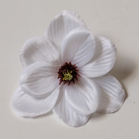 Magnólia hl. / 3010