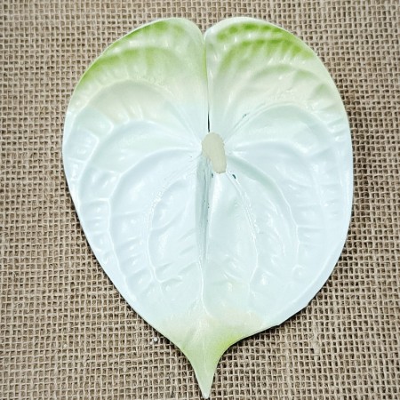 Antúria hl. penová / 3178