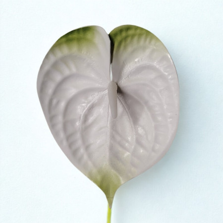 Antúria hl. penová / 3178