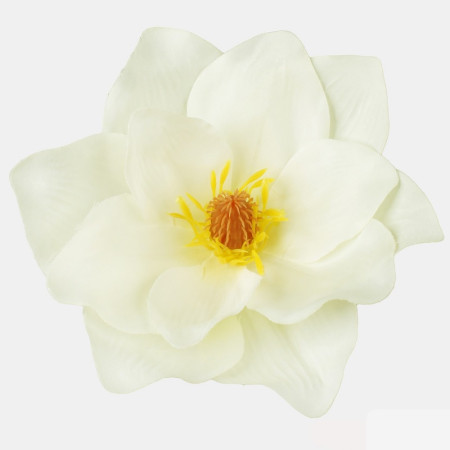 Magnólia hl. Cream / 327001