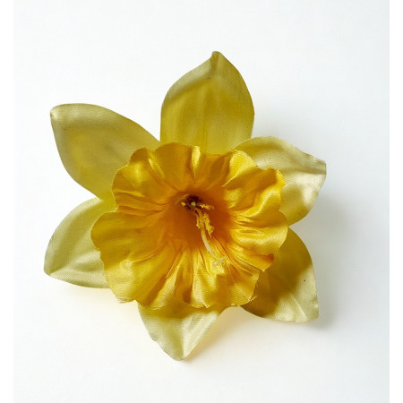 Narcis hl. Yellow / 360003