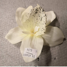 Orchidea hl.13cm / 416