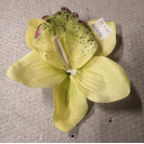 Orchidea hl.13cm / 416