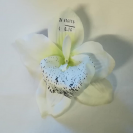 Orchidea hl.13cm / 416