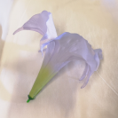 Datura / 420