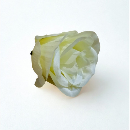 Ruža Puk  hl. / 635