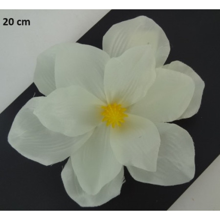 Magnólia hl. Cream / 643603