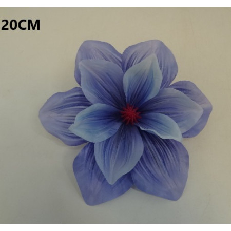 Magnólia hl. / 6436