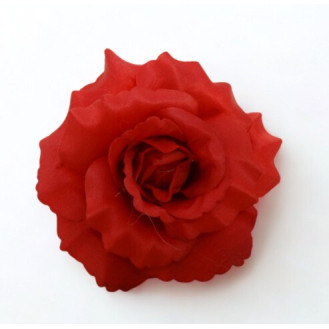 Ruža hl. rozvinutá / 6440