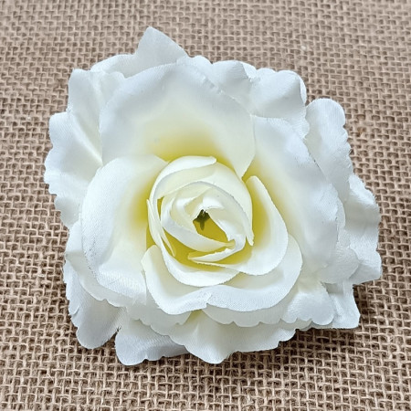 Ruža hl. Sonia / 6442