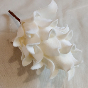 Protea hl. penová / 660906