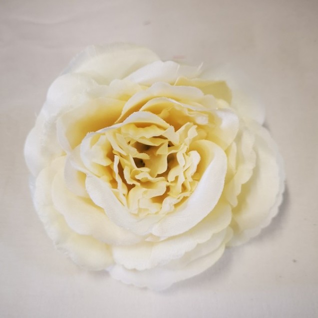 Anglická ruža (pivonková) / 683