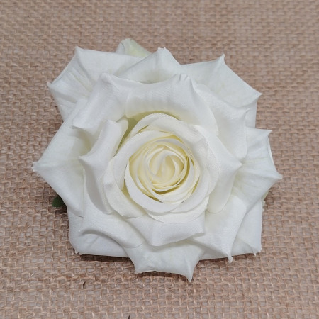 Ruža hl. rozvinutá / 7145