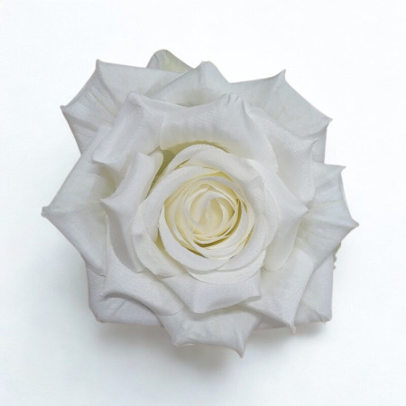 Ruža hl. rozvinutá / 7145