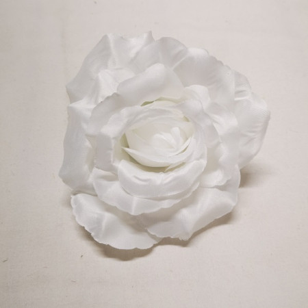 Ruža hl. rozvinutá / 737