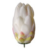 Protea hl. / 7613