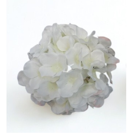 Hortenzia hl. Cream / 773154