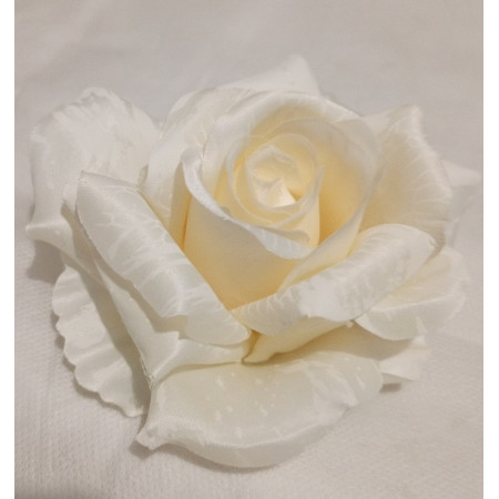 Ruža rozvinutá hl. / 8111