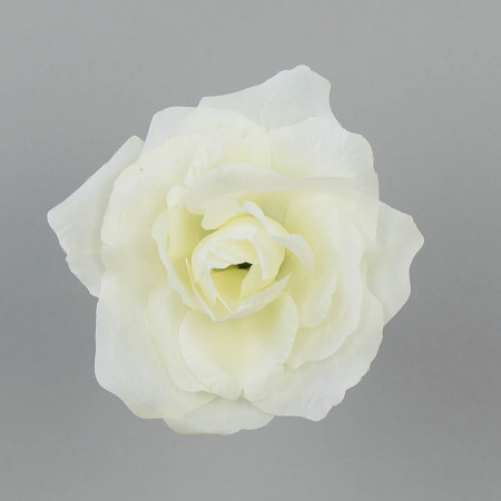 Ruža Francúzká / 1290