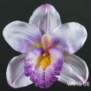 Orchidea hlava / 1015