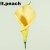 peach 