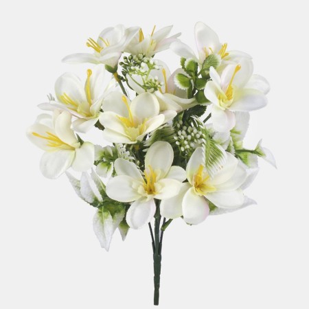 Kytica Frézia Cream / 100306