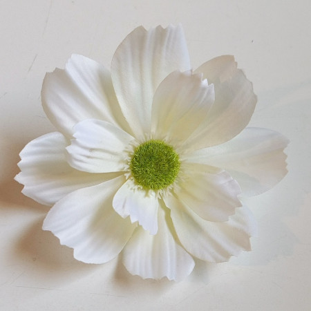 Margarétka hl. Cream / 112301