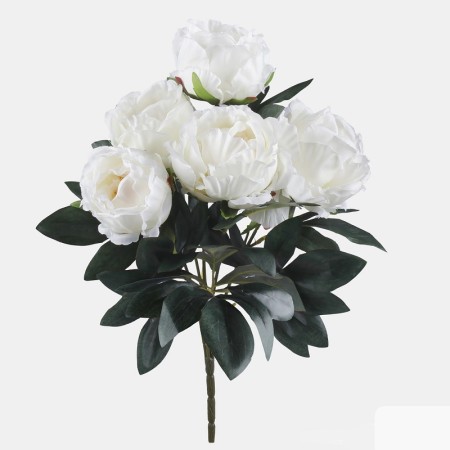 Kytica Pivonka Cream / 400105