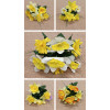 Kytica Narcis, Margarétka Mix 5 / 5591