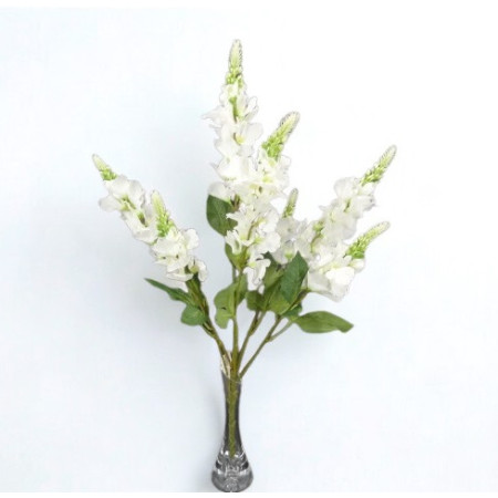 Kytica Ostrôžka Cream / 791901