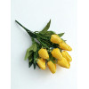Kytica Tulipán Yellow / 7949