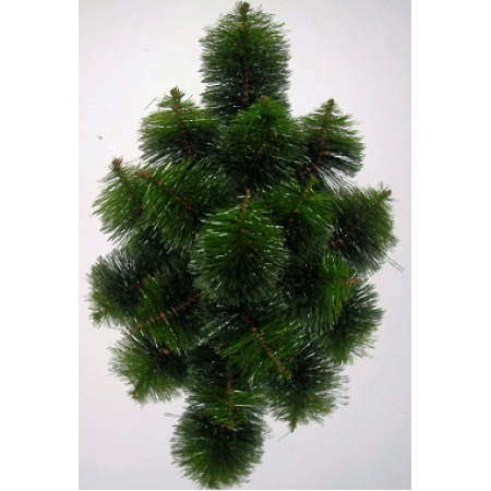 114. Kosoštvorec borovica, D-67cm